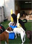 daycare pic 66 - play time
